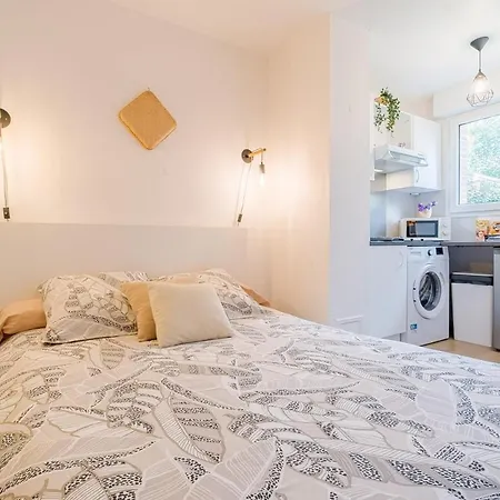 Les Muses - Avec Entree Autonome, Clim Neuve, Jardin, Parking Prive & Sa Piscine ! - Apartment Toulouse