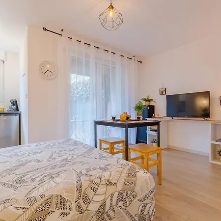 Les Muses - Avec Entree Autonome, Clim Neuve, Jardin, Parking Prive & Sa Piscine ! - * تولوز