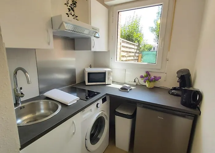 Les Muses - Avec Entree Autonome, Clim Neuve, Jardin, Parking Prive & Sa Piscine ! - Toulouse