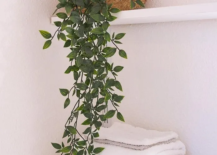 Les Muses - Avec Entree Autonome, Clim Neuve, Jardin, Parking Prive & Sa Piscine ! - * Toulouse