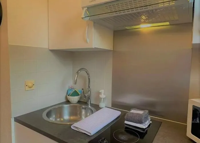 Apartamento Les Muses - Avec Entree Autonome, Clim Neuve, Jardin, Parking Prive & Sa Piscine ! - *