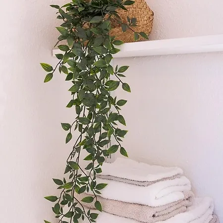 Les Muses - Avec Piscine, Parking&jardin Privé ! * Toulouse